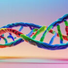 Brand DNA – Discovering Your Purpose & Values